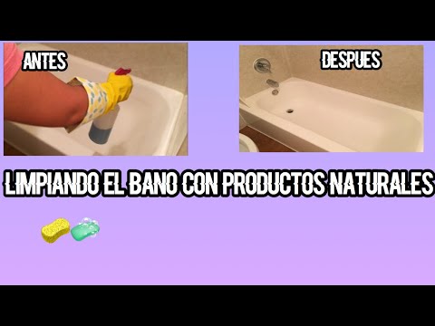 Como limpiar un bano