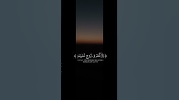 "قل متاع الدنيا قليل" #قرآن #اكسبلور #تلاوة_هادئة #تلاوة_خاشعة