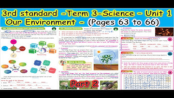 3rd STD - TERM 3 - SCIENCE - UNIT 1 - OUR ENVIRONMENT - WITH EXPLANATION & ANSWERS - PART 2