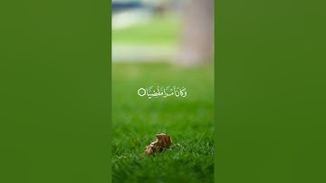 قَالَتْ أَنَّىٰ يَكُونُ لِي غُلَامٌ وَلَمْ يَمْسَسْنِي بَشَرٌ وَلَمْ أَكُ بَغِيًّا (20) / سورة مريم