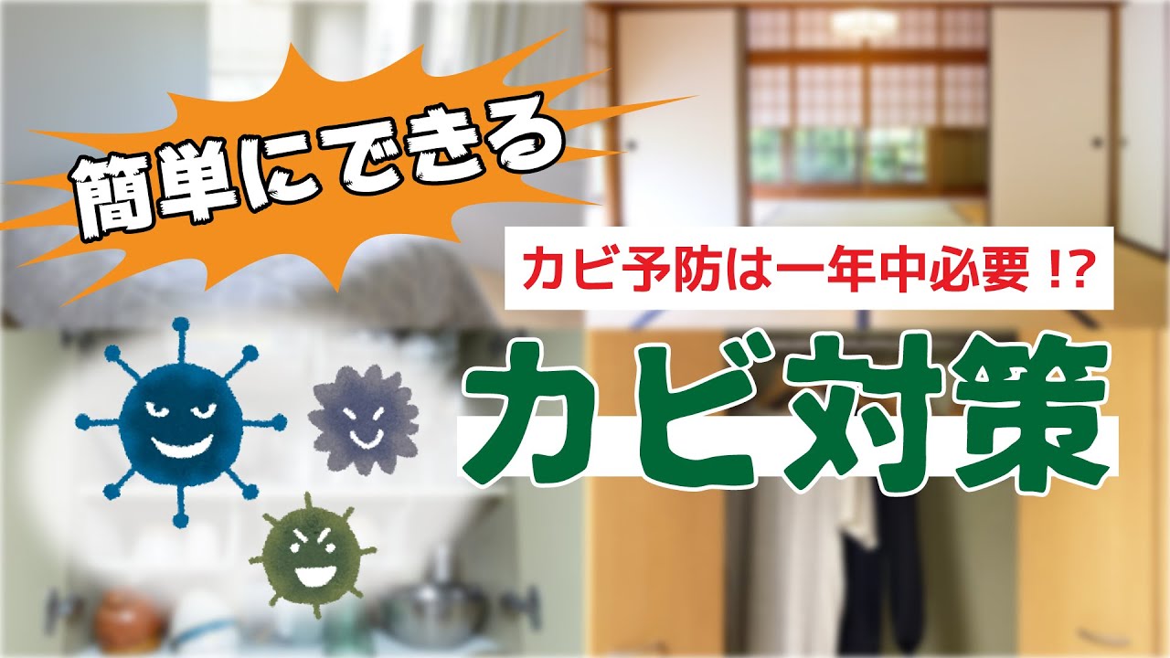 家の中にカビが カビの発生条件や再発防止方法をご説明 くらしのマーケットマガジン