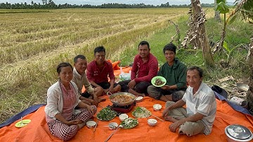 Chuột đồng nấu Giả Cầy / Bắt chuột mùa gặt lúa ở cánh đồng Phú Tâm VXĐ 990 