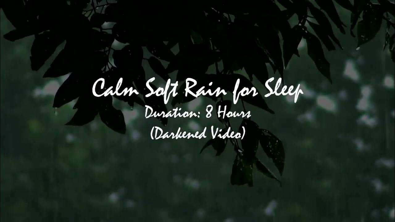 Soft Rainstorm Sounds for Relaxing, Focus or Deep Sleep Nature White