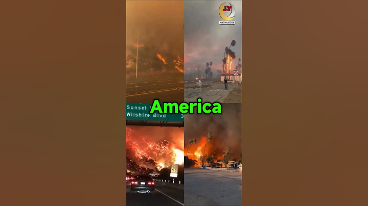 Ya allah😭 | Allah sabse bada hai | Los angeles wildfire #allah #Palestine #america #wildfire