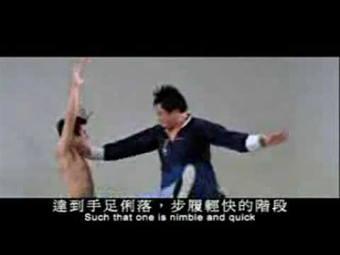 Practical Tai Chi Chuan - Grandmaster Cheng Tin-hung