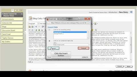 Using Blogs LX in Blackboard 9 --For Students