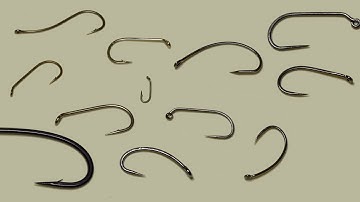 Hook Basics - Barbed & Barbless