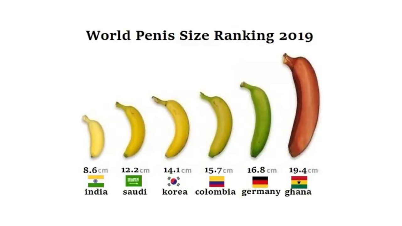 World's largest dick size