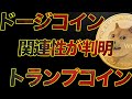 【９割が知らない】ミームコインバブルです。ドージコインとトランプコインの意外な関係が判明。 #DOGE #TRUMP