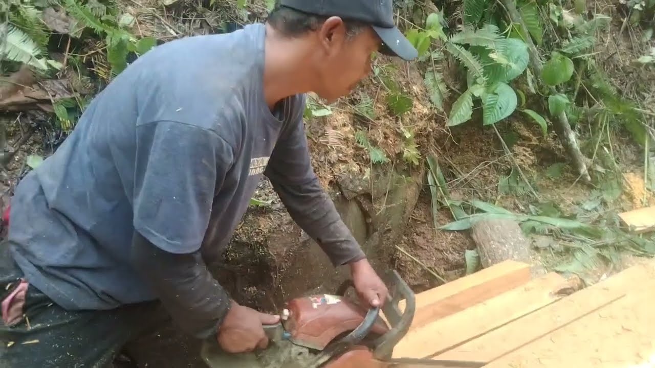 Gergaji mesin New west 628 ditangan operator senior