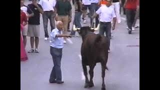 Toro Capitan, RECOGNIZES his OWNER.