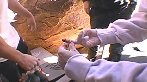 DIGITAL BLACK V10 | JOSHUA TREE, CALIFORNIA