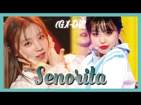 ❤️弦高調整済！「Star Sun DG-120NA」かわいいチャレンジギタ〜♫ HOT] (G)I-DLE - Senorita ,(여자)아이들 - Senorita Show Music