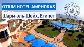 Полный обзор отеля Otium Hotel Amphoras Sharm 5* (ex.Shores Amphoras Resort) | Шарм-эль-Шейх, Египет