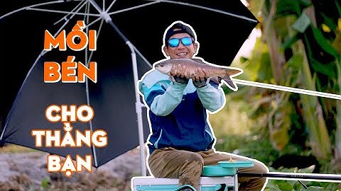 CHIA SẺ BÀI MỒI CÂU CÁ TRÔI | VIETNAM FISHING TV