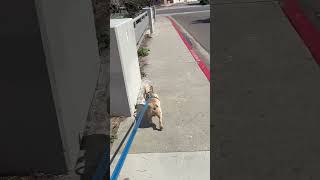 IMG 0835