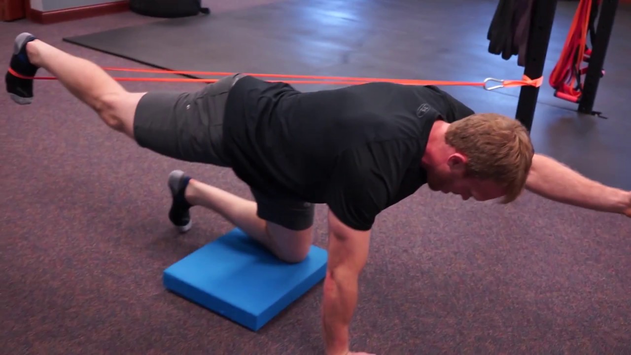 exercise 14.1 class 11 Best Exercises for Back Pain Relief (Part 2 - The Bird dog Exercise)