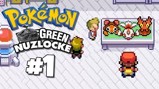 L'HACKROM PEGGIORE IN ASSOLUTO - GARBAGE GREEN NUZLOCKE HC #1