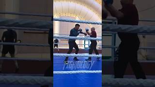 Dmitry Bivol INSANE Skills and Power #dmitrybivol #bivol #boxing