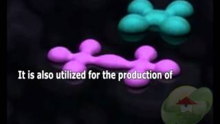 What's the subject matter variance among fungus