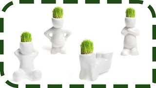 Керамические травянчики / Флорики / Экочеловечки / Hair man plant