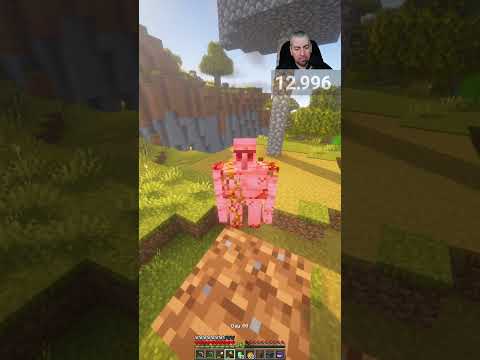 Golem VS Saclà  #minecraft #chill