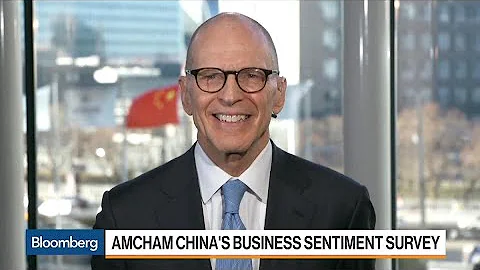 Amcham's Zarit Sees Regulatory Compliance as Challenge in China