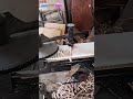 Modern machines for practical wood carving #shorts