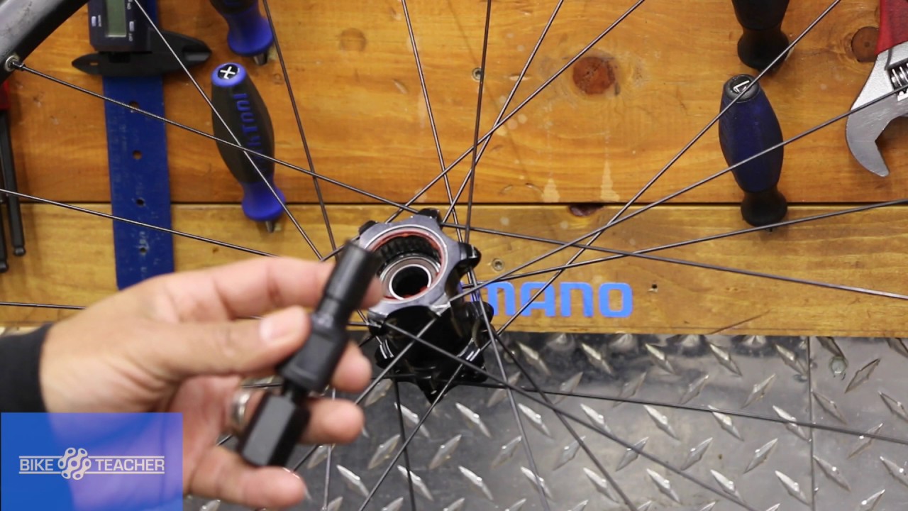 cycle wheel bearing