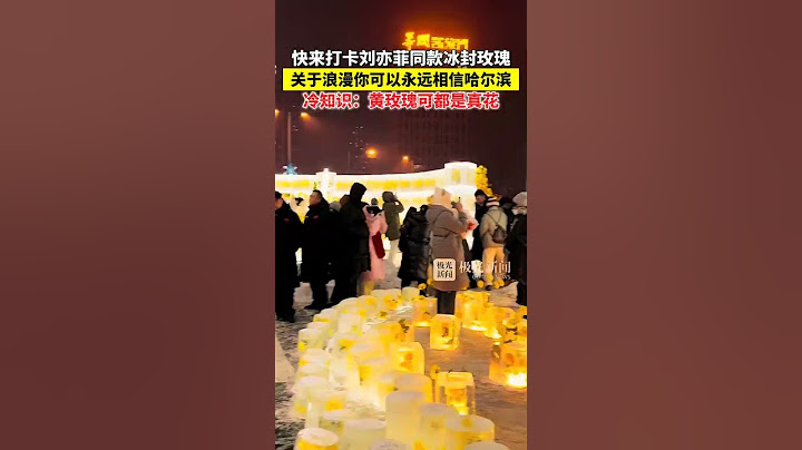 快来打卡刘亦菲同款冰封玫瑰！关于浪漫你可以永远相信哈尔滨，冷知识：黄玫瑰可都是真花！#喜迎亚冬会歌声里的黑龙江 #跟着亚冬游龙江 #冰雪见证愿望我在黑龙江跨年