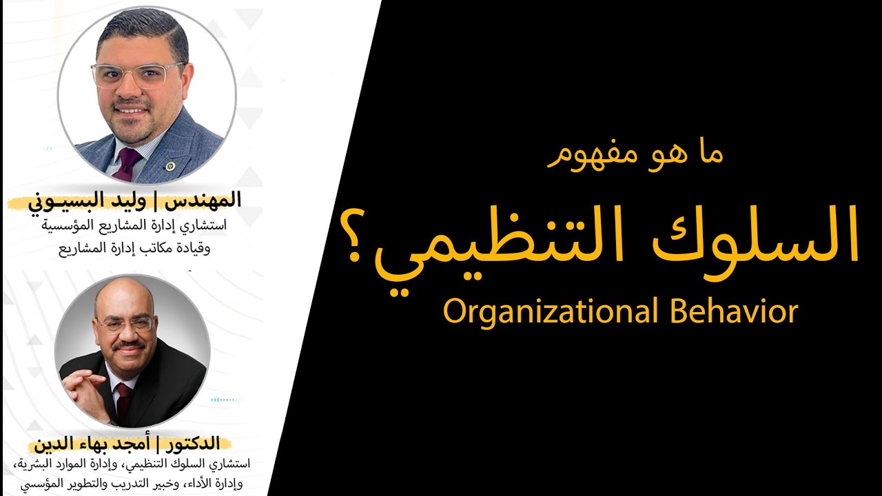 مفهوم السلوك التنظيمي Organizational behavior
