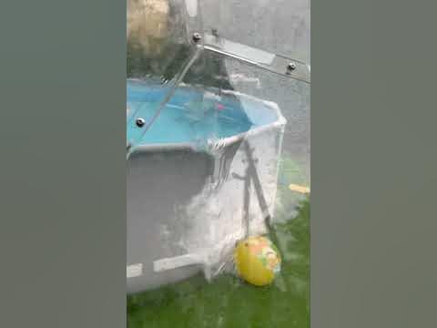 Прозрачный купол для бассейна во время дождя #купол #бассейн #лето2023 ...