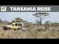 Tansania Safari Reise mit Jörg Gräser