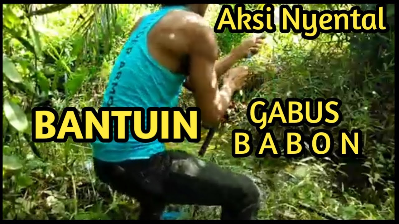 Mancing di parit kecil sarang ikan Nila , Lele dan Gabus