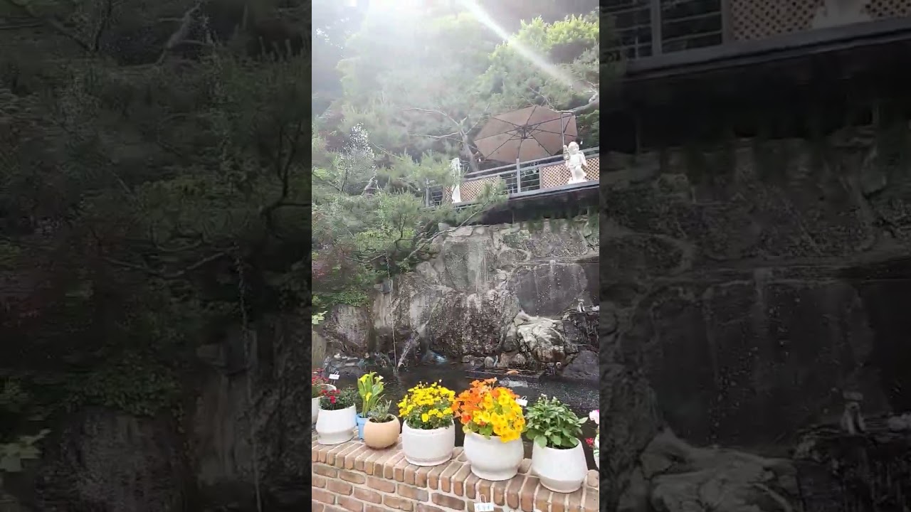 타샤의 정원 251 카페 #대형카페 #베이커리 #가평 #힐링 #커피 #cafe #bakery #healing #korea #shorts