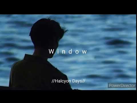 Window - Will Reagan