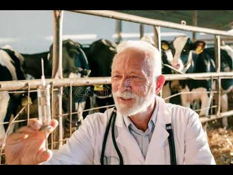 Pashto Funny Call Doctor Funny Call Wrong Injection Funny