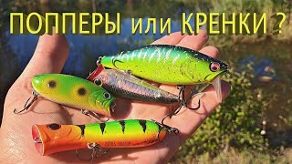 видео: 🔥 Бесячий КРЕНК против Лучшего ПОППЕРА. Что выберет ТРОФЕЙНАЯ ЩУКА? Баттл элитных воблеров! (1 ч.) 🔥 картинка: 🔥 Бесячий КРЕНК против Лучшего ПОППЕРА. Что выберет ТРОФЕЙНАЯ ЩУКА? Баттл элитных воблеров! (1 ч.) 🔥
