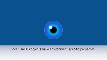 CAIRIS: working with environments.