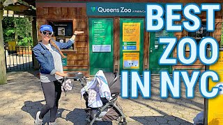 BEST ZOO IN NYC | Full Tour of Queens Zoo | Flushing Meadows Corona Park | Things to Do in NYC