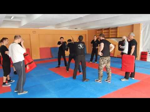 2017.05.27-თბილისი. კრავმაგა-(სემინარი)-გაბი მიხაელი-1