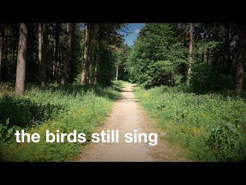 The birds still sing (Lockdown days) [Official video]