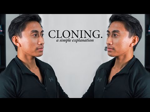 Video: What Is Cloning