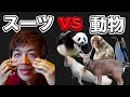スーツvs動物まとめ