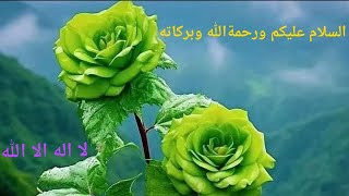 “Madina Live | Peaceful Islamic Live | Darood Sharif” screenshot 2