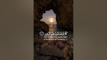 ڕەعد کوردی -- رعد الكردي -- Raad al kurdi -- سورة التكاثر