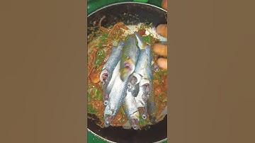 kacha mach ranna recipe ।।parse macher recipe ।।