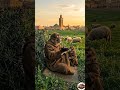 قردوش العيد ق ر ب اكسبلور رمضان  كوميديات أخبار المغرب ضحك  دويتو 