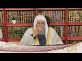 حكم تربية القطط الشيخ مصطفى العدوي