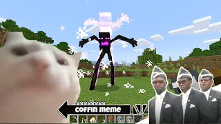 Coffin Meme but Cat is Vibing Part 6  Minecraft